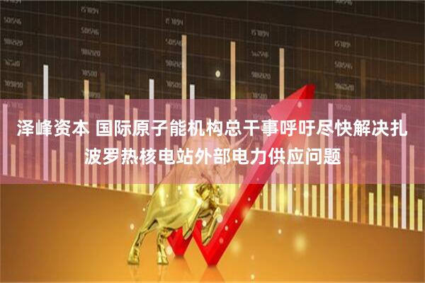 泽峰资本 国际原子能机构总干事呼吁尽快解决扎波罗热核电站外部电力供应问题
