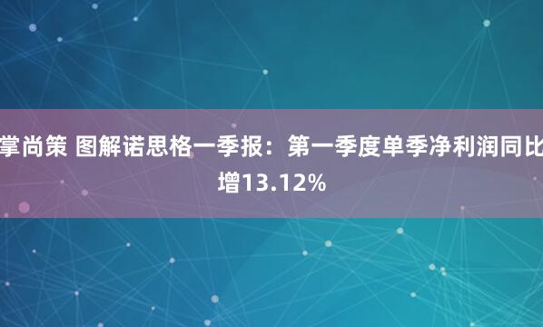 掌尚策 图解诺思格一季报：第一季度单季净利润同比增13.12%