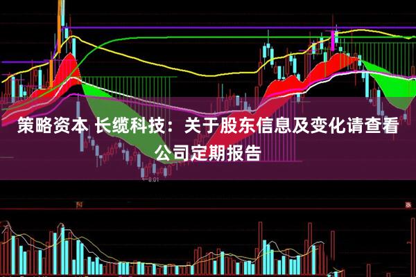 策略资本 长缆科技：关于股东信息及变化请查看公司定期报告