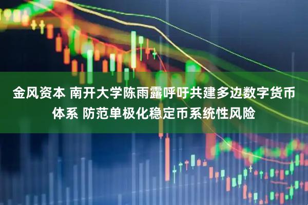 金风资本 南开大学陈雨露呼吁共建多边数字货币体系 防范单极化稳定币系统性风险