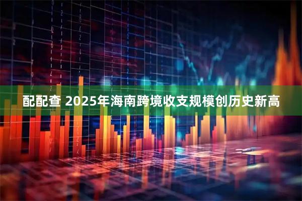 配配查 2025年海南跨境收支规模创历史新高